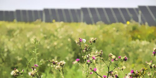 0.27元/千瓦時:德國太陽能招標(biāo)中標(biāo)價創(chuàng)最低紀(jì)錄